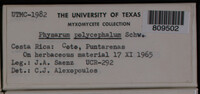 Image Associated With the Occurence